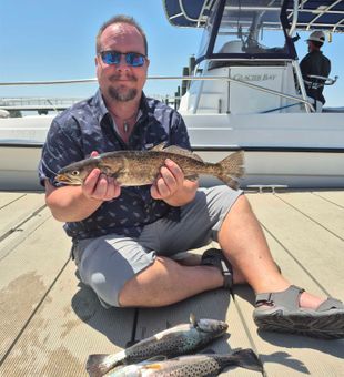 Great speckled trout action at Hilton Head Island!