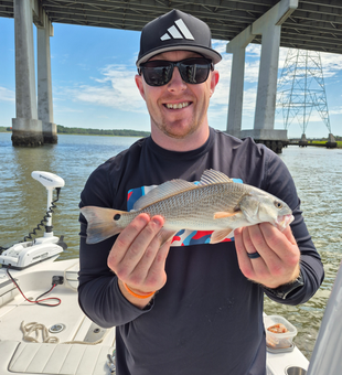 Nice redfish using light tackle jigging and trolling techniques!