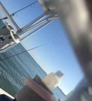 Perfect day for deep sea fishing in Bokeelia waters!