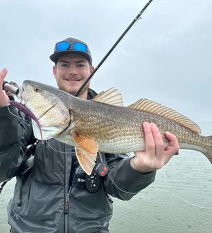 Big Reds Rolling In Galveston