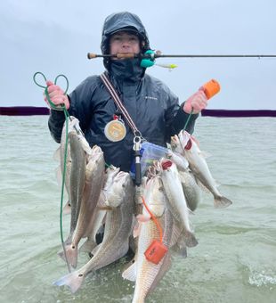 Redfish Dreams in Galveston