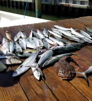 Half Day Family Fishing Trips