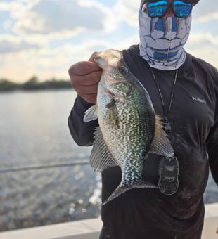Inshore Fishing Fort Pierce Fun