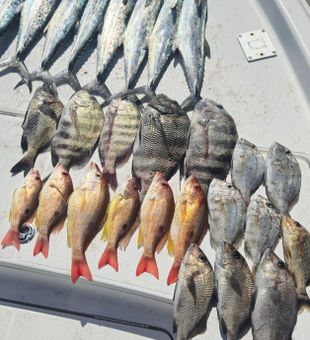 Catch of the Day in Fort Pierce