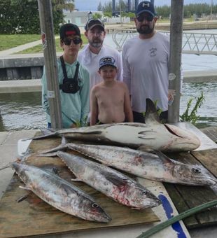 Great offshore haul with king mackerel and shark on deck!