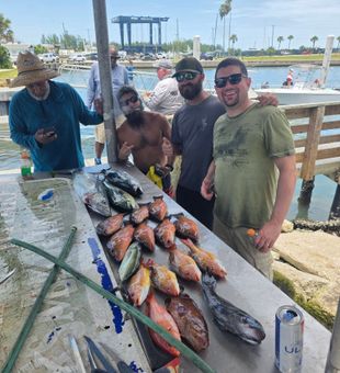 Great variety of fish caught in Fort Pierce waters!