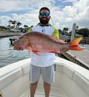 Beautiful mutton snapper from Fort Pierce waters!
