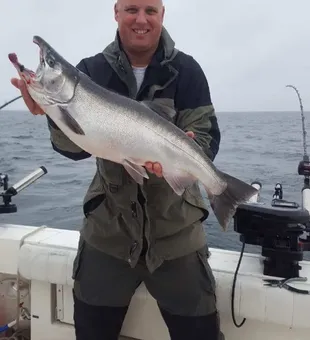 Salmon Fishing is looking good in Lake Ontario!