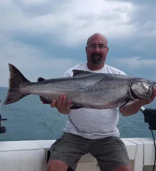 Caught this Prized Salmon in Lake Ontario