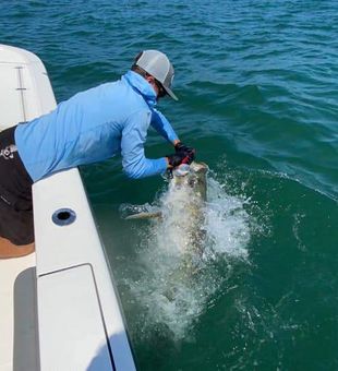 Large Tarpon Caught in Florida