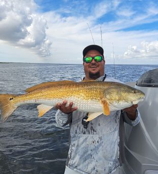 Big bull red! 🎣🔥