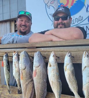 Sea Trout, Redfish, & Black Drum in South Texas