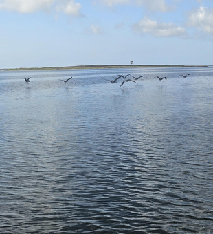 Clear skies and deep sea adventures await in Corpus Christi!