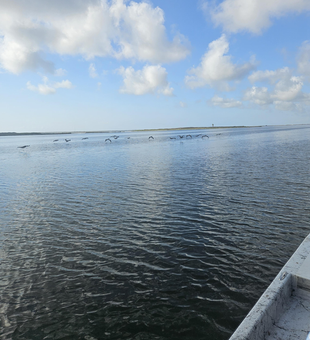 Clear skies and calm waters set the stage for epic drift fishing adventures!