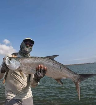 tarpon strike success! 