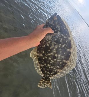 Texas waters, big fish!