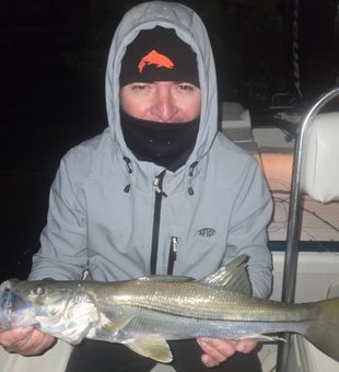 Snook night fishing in Texas. Cool experience