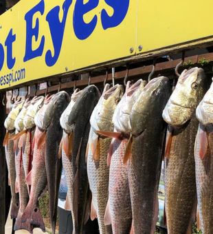 Redfish from South Padre Island