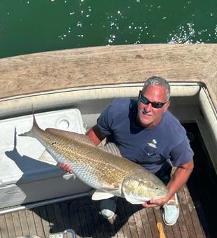 Hello there, redfish