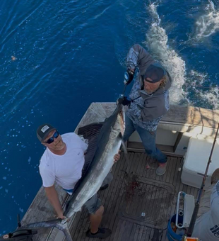 “Big catches, saltwater thrills – Norfolk deep sea fishing at its best.”