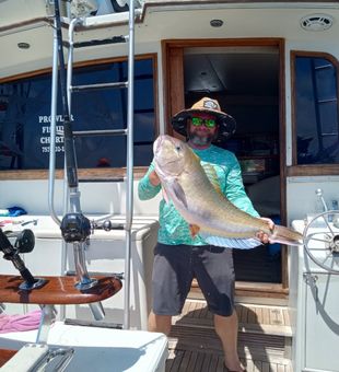 Catch of the Day – Norfolk, VA