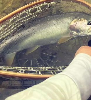 Trout fishing heaven in Utah.