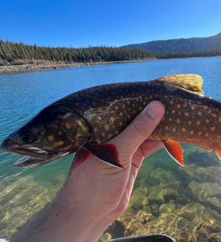 Utah fly fishing dream come true.