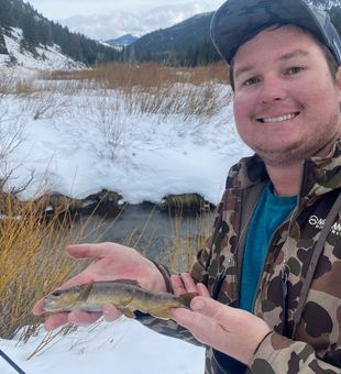 Guided river fishing adventures await.
