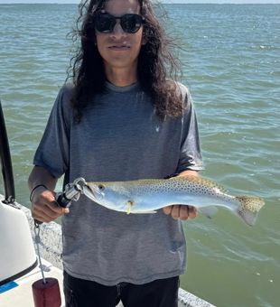 Clean speckled trout catch | South Padre Island fishing charter