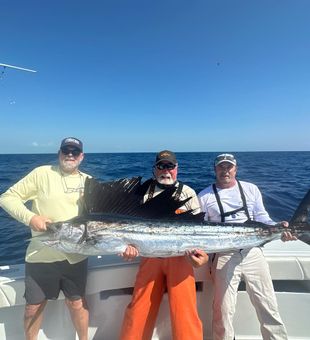 Sailfish speed, ocean feed