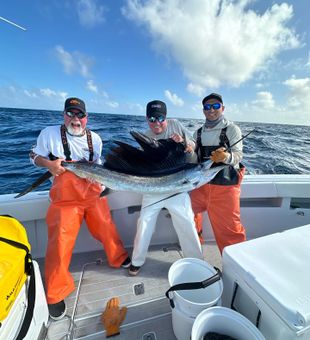 Sailfish on the line, pure joy