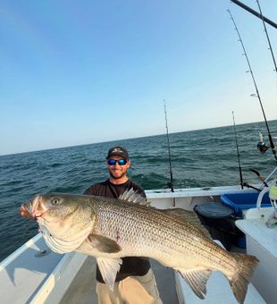 Stripers spotted off Tavernier