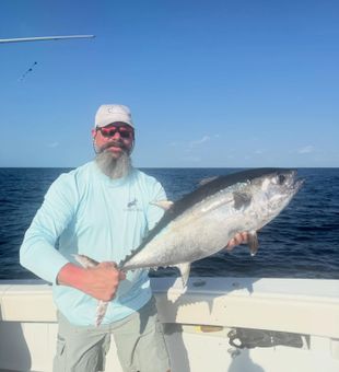 Beautiful Tavernier blackfin tuna ready for the cooler!