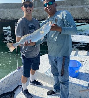 Redfish in South Padre Island Fishing