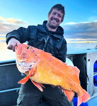 Larsen Bay catch of the day!