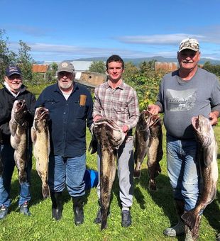 Productive lingcod haul in Alaska!