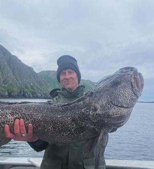 Massive Lingcod Catch - Larsen Bay, AK
