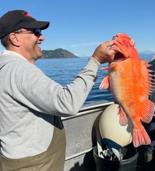 Experience the adventure of a lifetime fishing in Larsen Bay, Alaska, where breathtaking scenery and world-class angling opportunities await.