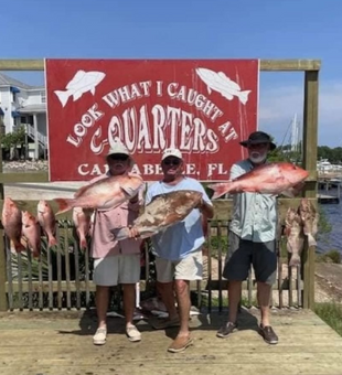 Hook of the day!