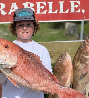 Snapper Fishing