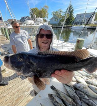 Large Tautog from Forked River, NJ