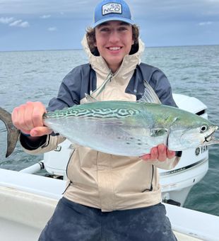 Bonito Fishing In Cape Cod Bay