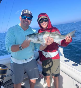 Beautiful East Dennis striped bass making the trip worthwhile!