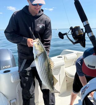 Nice striped bass from East Dennis waters!