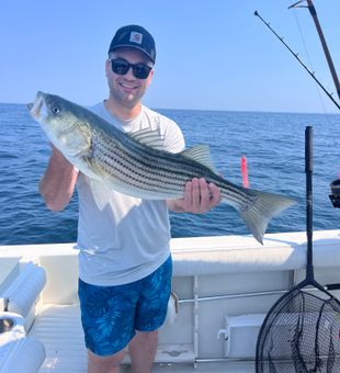Nice striped bass from East Dennis waters!
