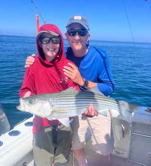 Beautiful striped bass caught in East Dennis MA!