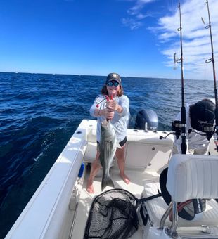 East Dennis striped bass success on the water!