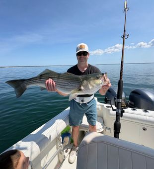 Beautiful East Dennis striped bass on the boat!