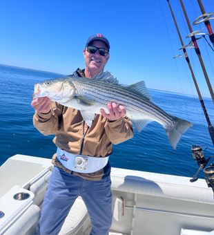 Nice striped bass from East Dennis waters!