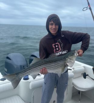 Reeling in Cape Cod's finest catch